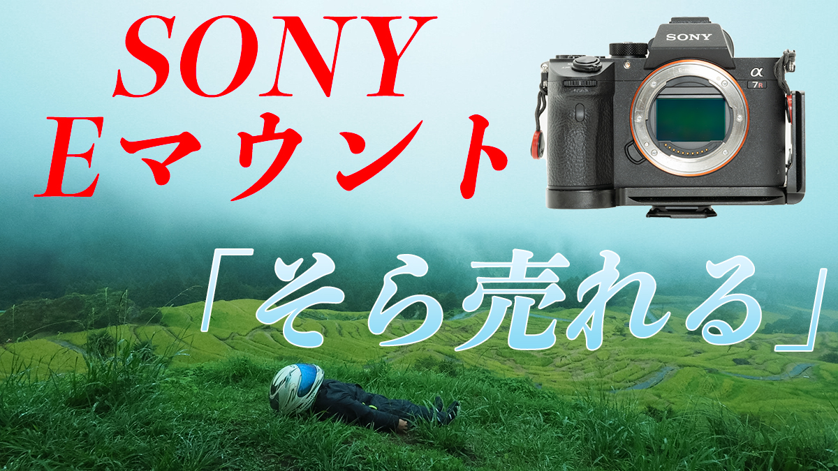 コスパが高いフルサイズミラーレスカメラが欲しい方へ Sony Eマウントで幸せにならん 渋たかブログ