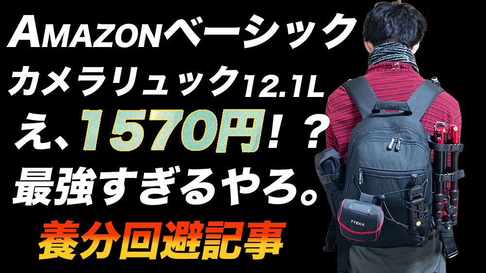 価格交渉OK送料無料 ベーシック カメラリュック 一眼レフ用 ラップ